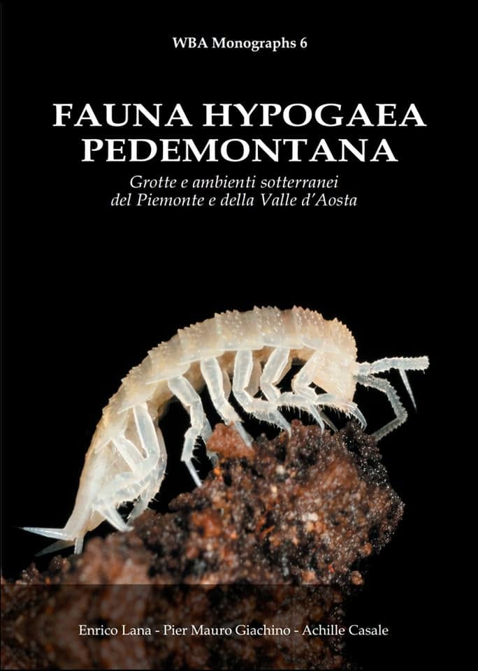 Copertina di Fauna Hypogaea Pedemontana: un crostaceo isopode bianco e senza occhi su una zolla di terra, su fondo nero